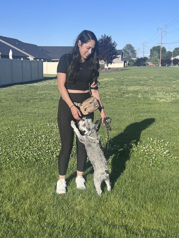 Doggie walks