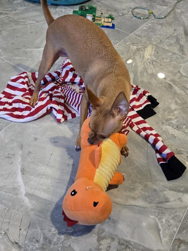 Playing with dino