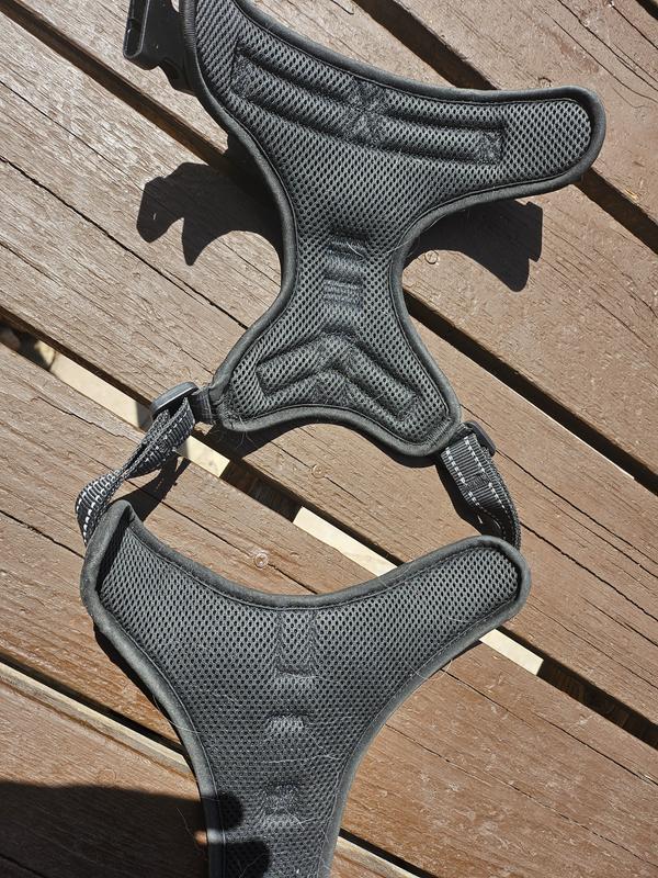Padded, nylon webbing keeps dog comfortable even on long mountain hikes