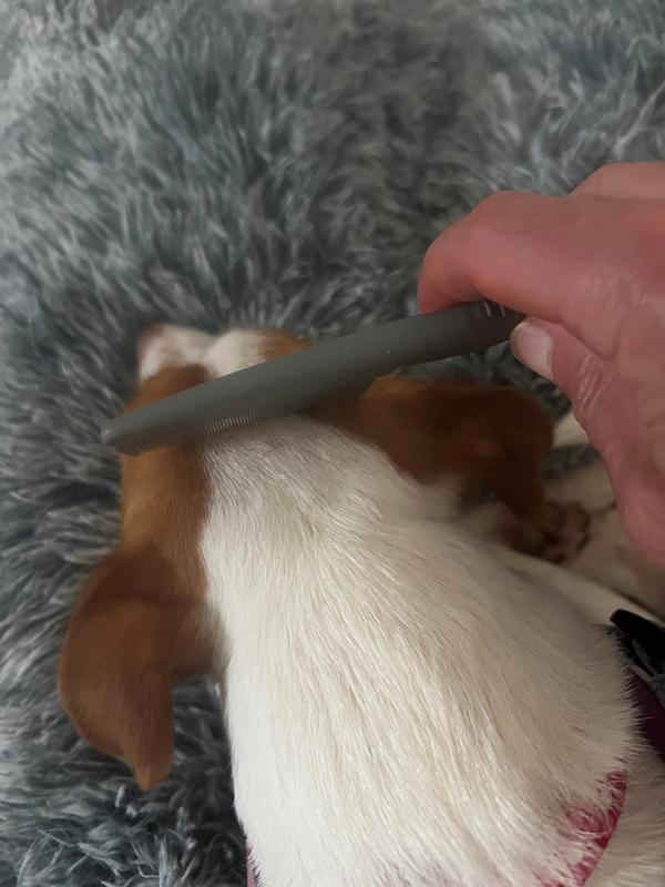 Checking her head area
