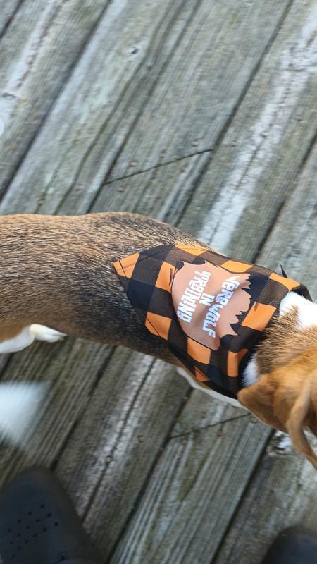 Photo - commentaire&nbsp;3.