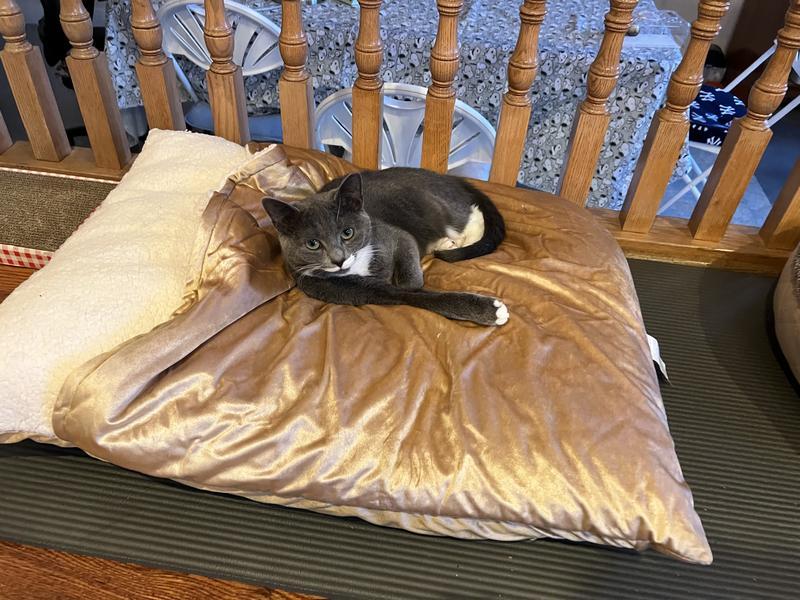 Soft pillow bed