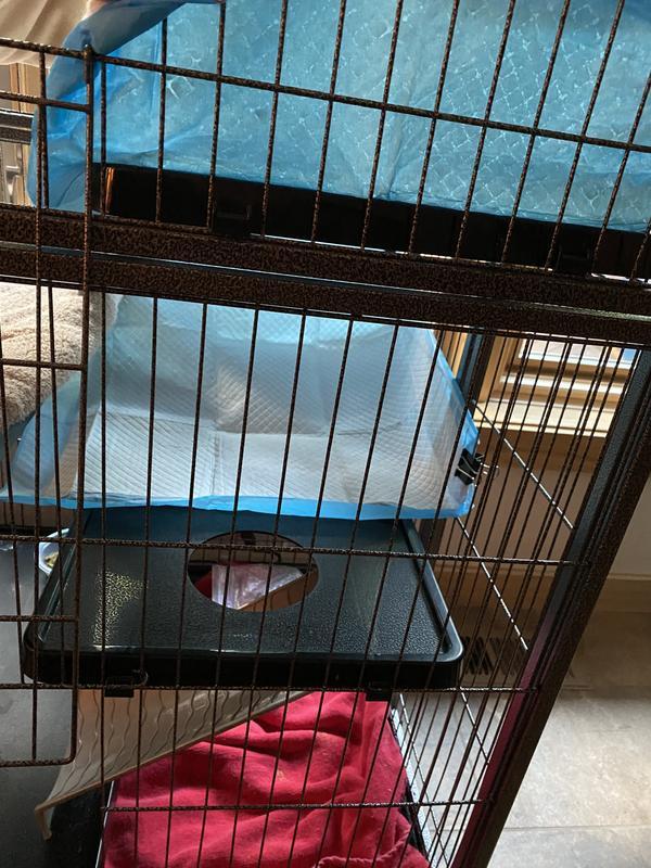 Ferret Cage Potty