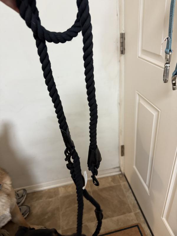 What the leash looks like