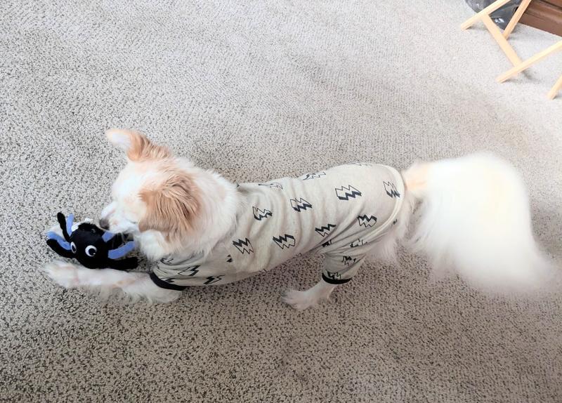 Photo - commentaire 6.