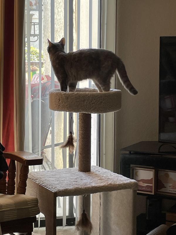 A nice view from up here