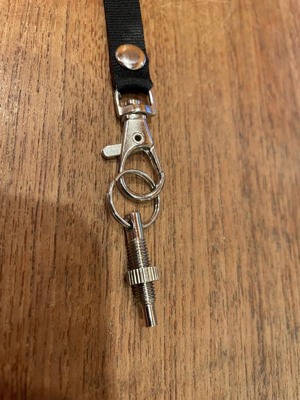 Missing whistle