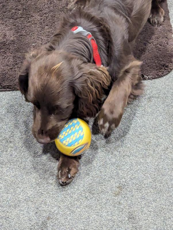Amusing solo play time