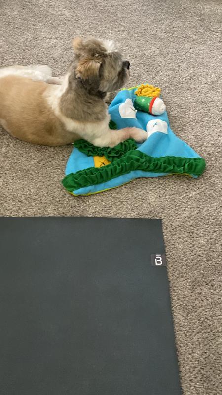 Teddy searching for the treats in the toy