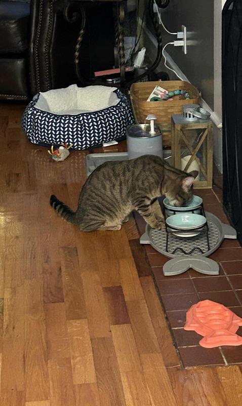 One happy, hungry girl!