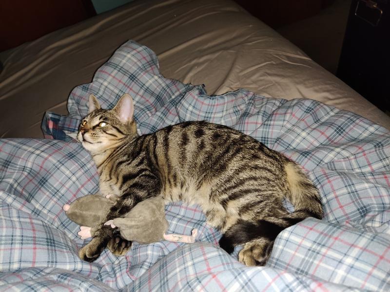 Photo - commentaire 8.