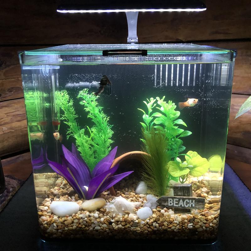 Love this cube shaped fish tank. Complete set up.