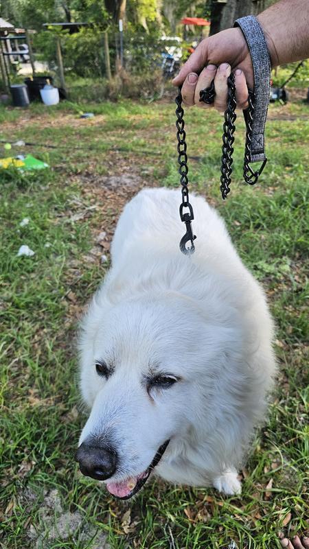 Easy control with this chain lead