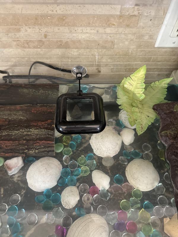 Main piece floating in tank