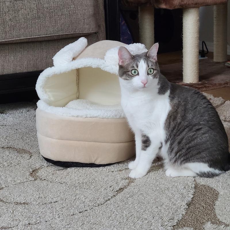 This bed is a cute as I am