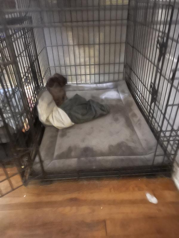 Large kennel pad fits perfect