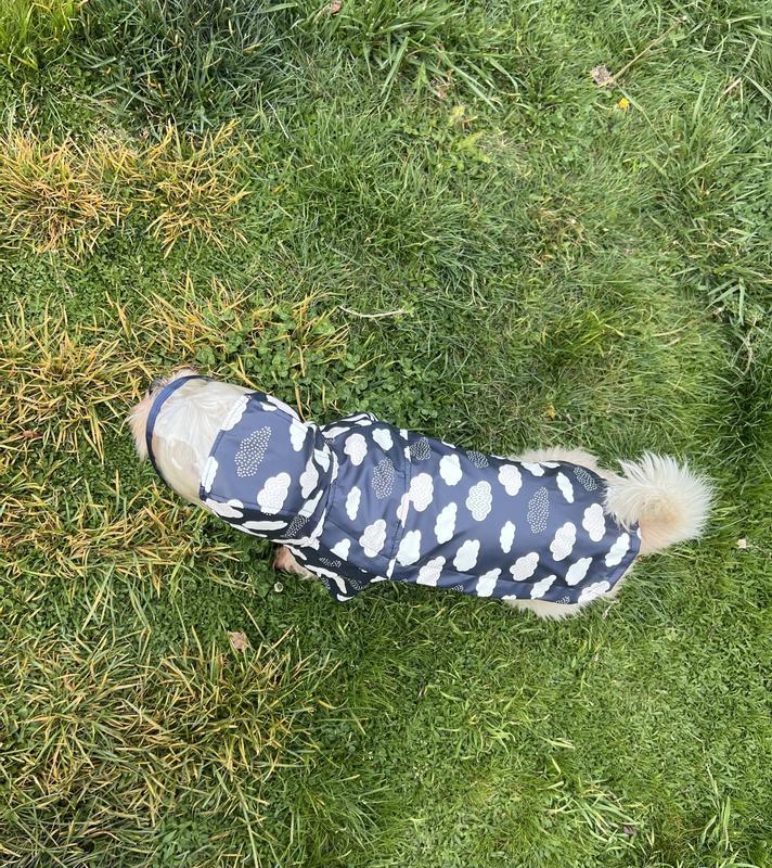 Nice fit, size Medium!