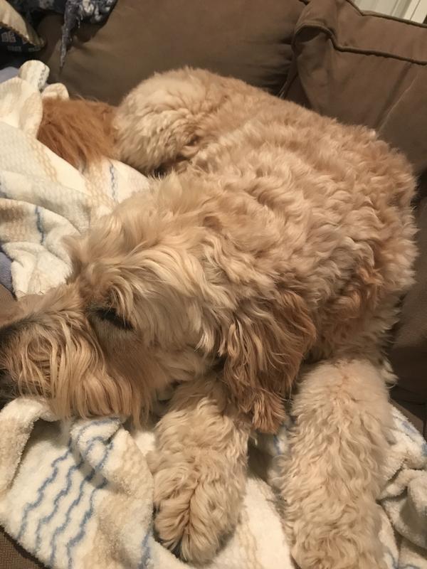 So comfy!