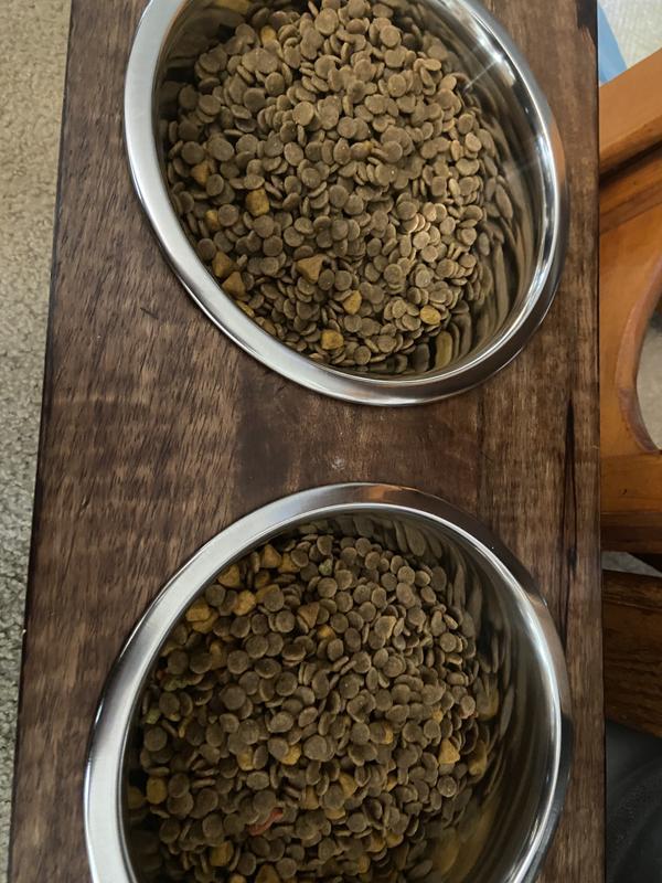Plenty of food for our two dogs