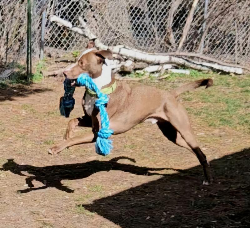 Mine!
