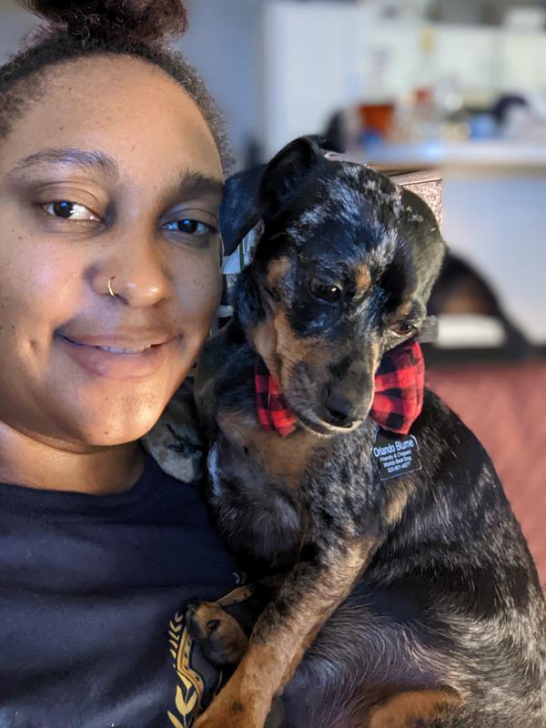 Photo - commentaire&nbsp;3.