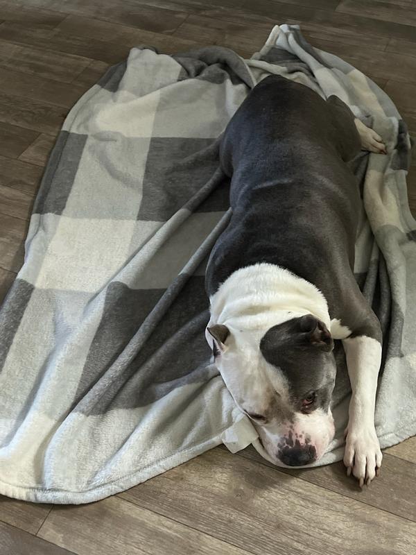 Huge blanket!