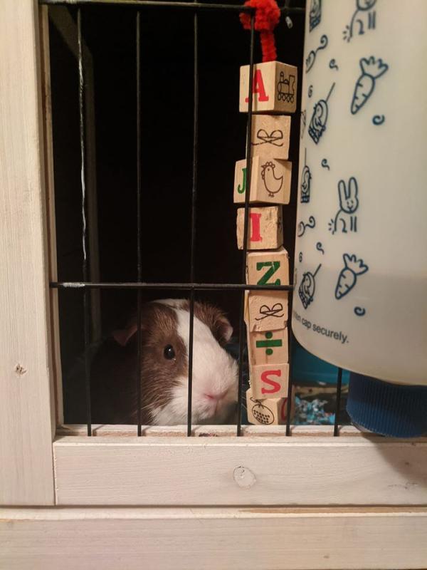 Miss Piggy