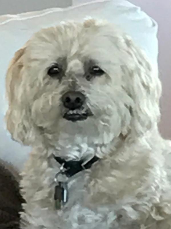 I’m Zack and I love treats !