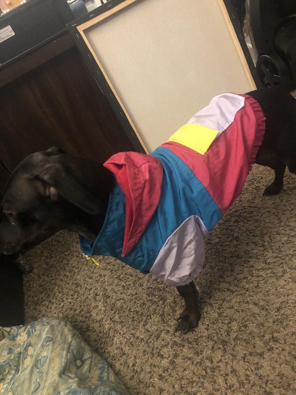 Photo - commentaire 6.