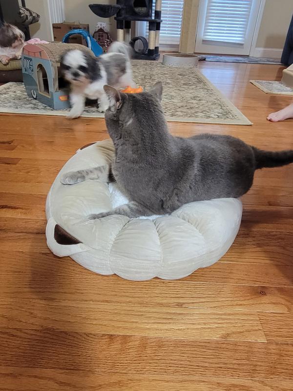 Checking it out.