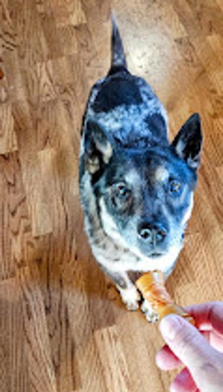Stella was super excited to get a morning treat.