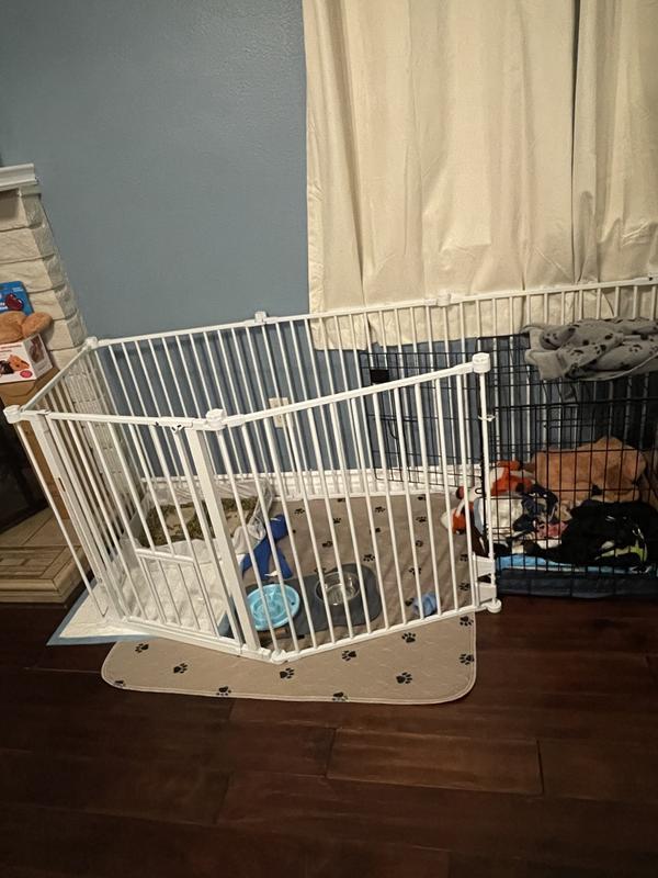 Our puppy area set up.