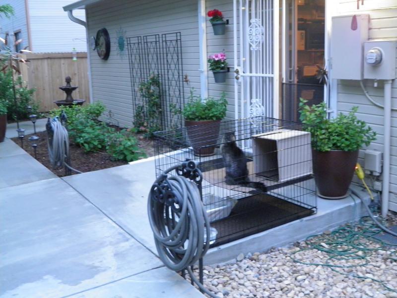 Photo - commentaire 8.