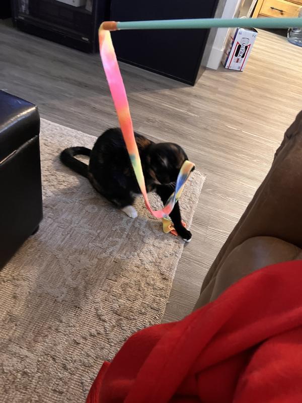 Raerae with the new toy!