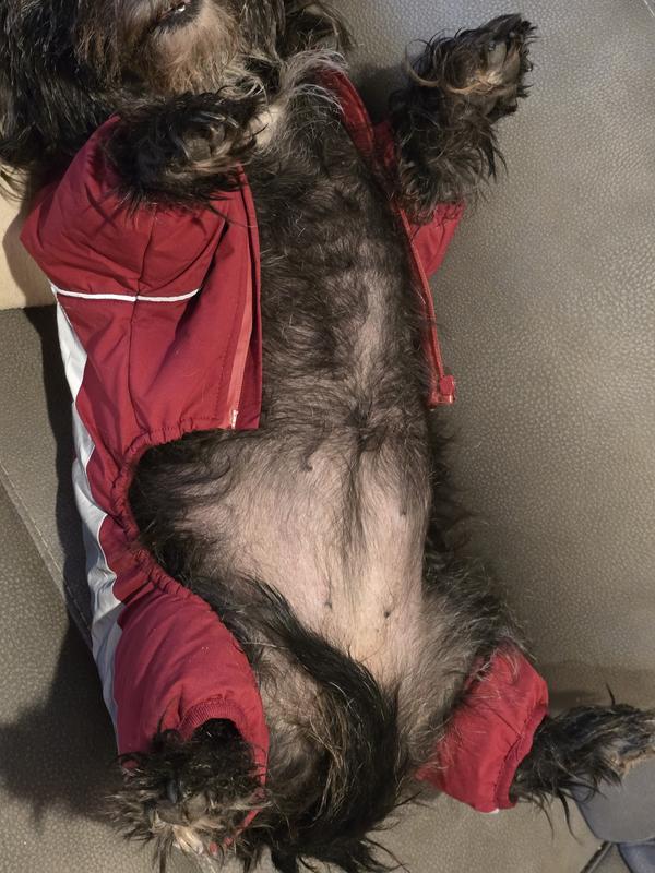 Fuzzy girl in her new snowsuit
