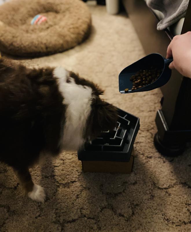 EveryYay For Good Measure Blue Plastic Dog Food Scooper, 1 Cup