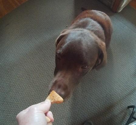 Duncan says yes