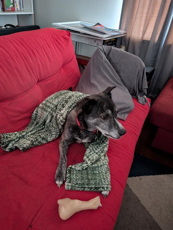 Photo - commentaire&nbsp;1.