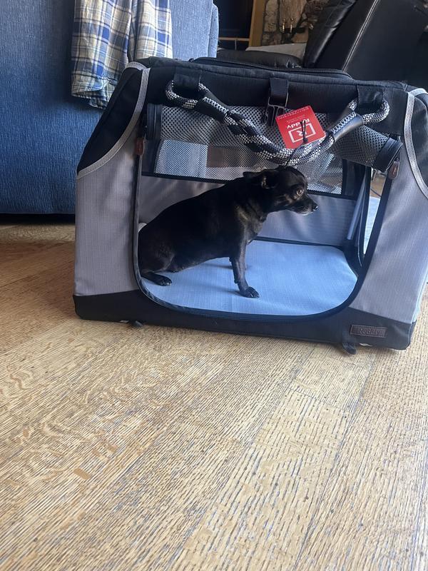 Chihuahua likes it!