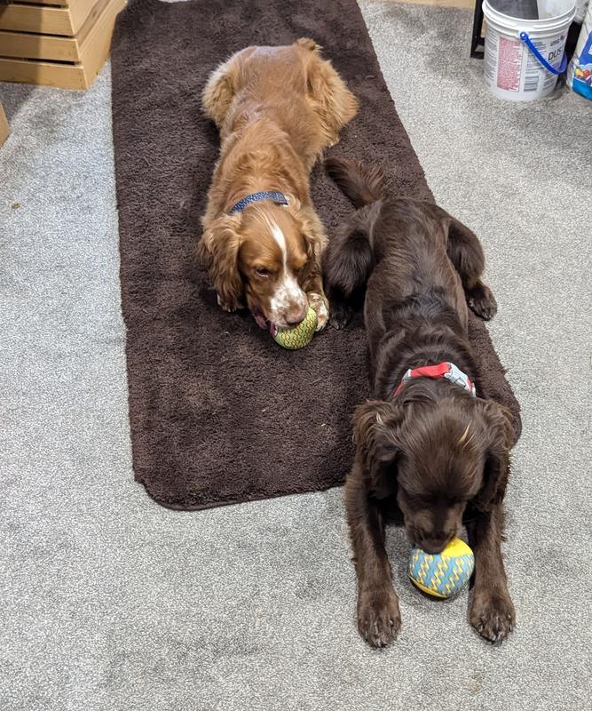 Play with a friend