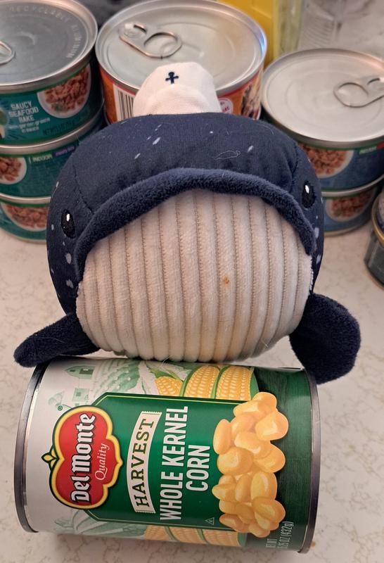 Standard can of veggies and cat food for scale