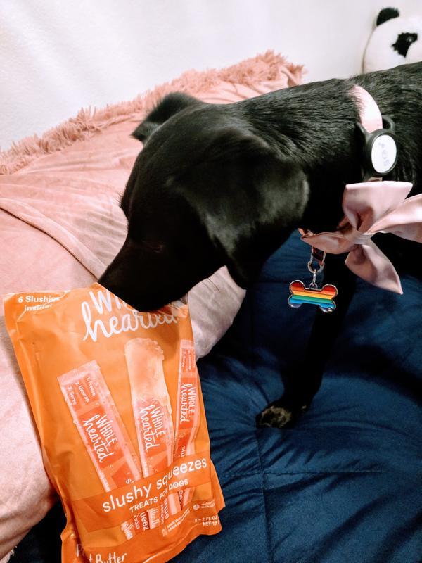 Sniffing her new favorite treat