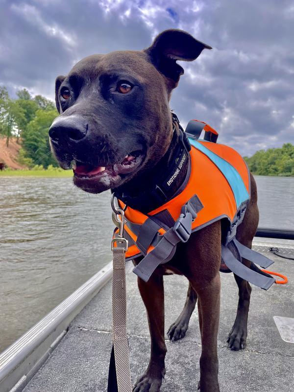 Willie in his life jacket