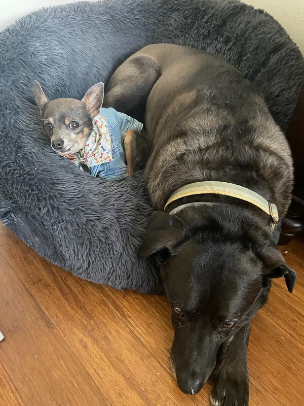Morrissey looking stylish and cuddled up with his younger brother Angus