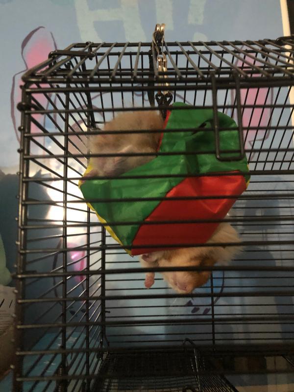 You & Me Hamster Cube