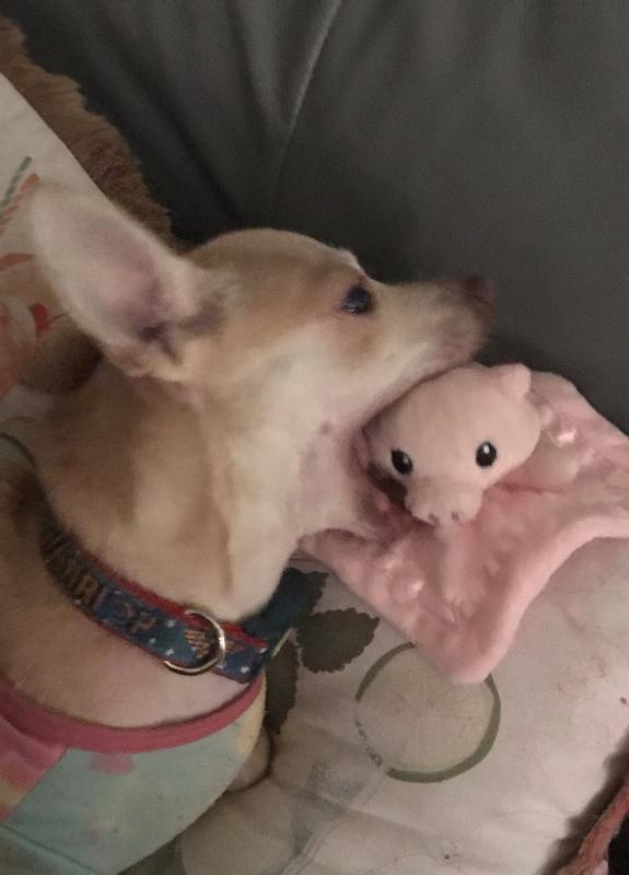 Arya’s Woobie