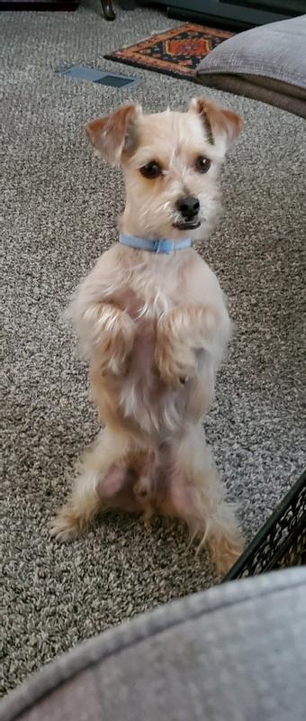 PLEASE A TREAT FOR ME!!