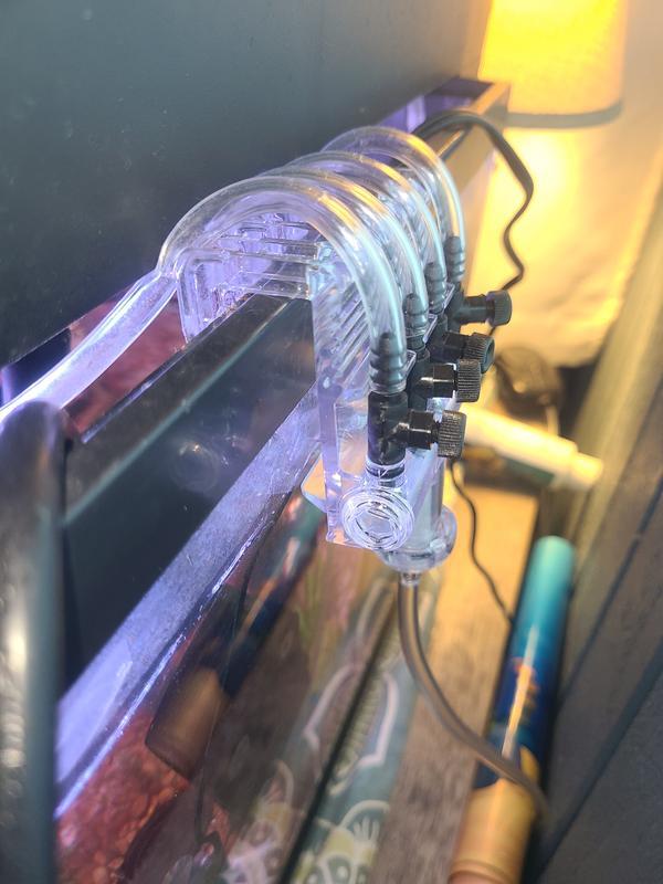 Notice the tuning closest to you.  Both sides broke.