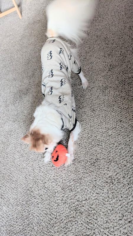 Photo - commentaire 7.