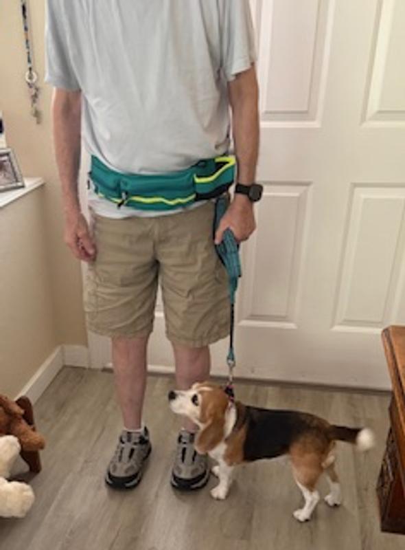 The 34" lead is sturdy and contains a section of bungee to give your dog some leeway as well as allowing you to control her.